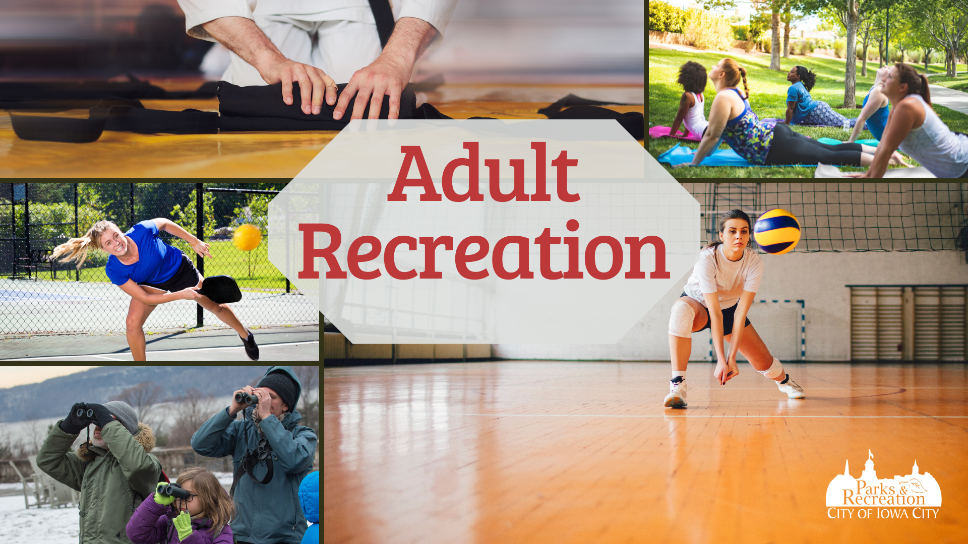 Adult Recreation New Website Banner