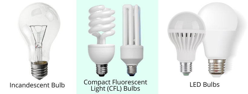 Incandescent, CFL, and LED light bulb identification