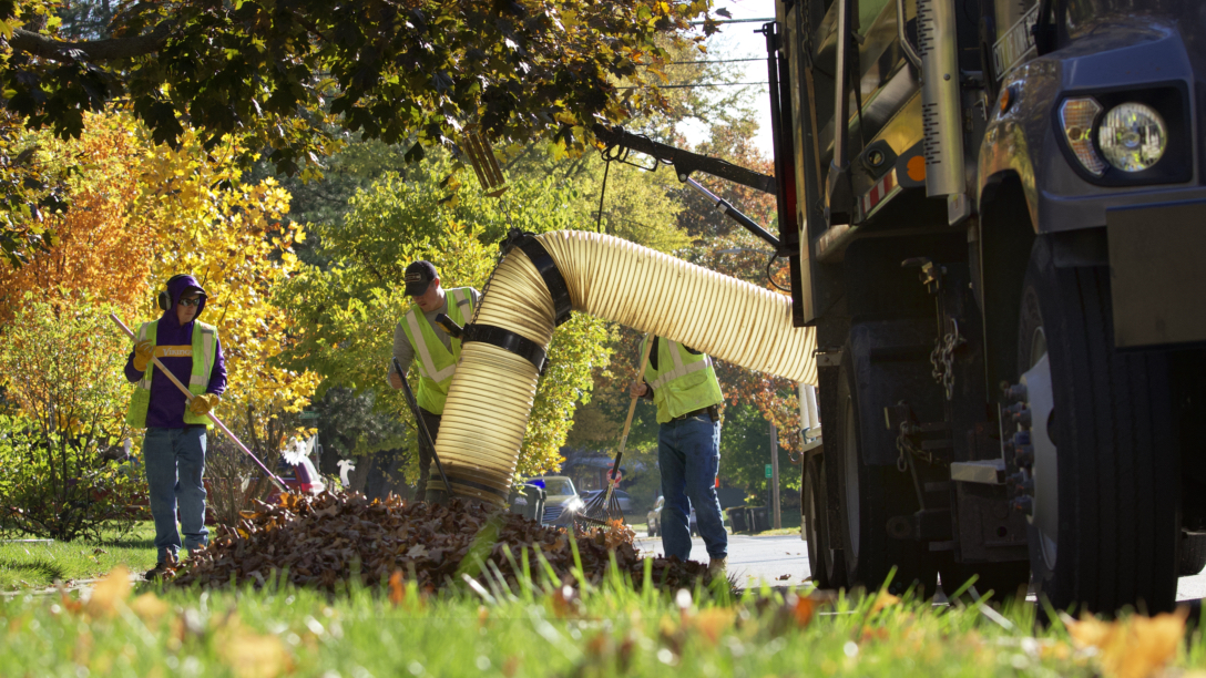 Leaf Vacuum Program