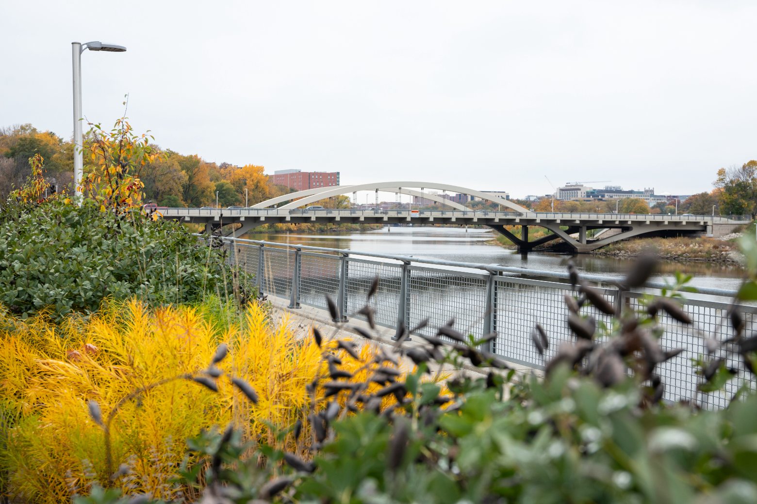 Iowa River and Park Rd Bridge