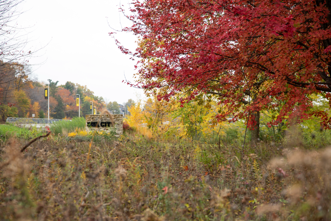 Terrell Mill Park