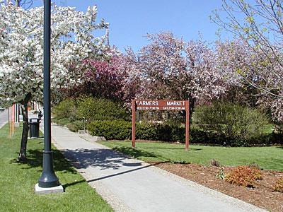 Chauncey Swan Park